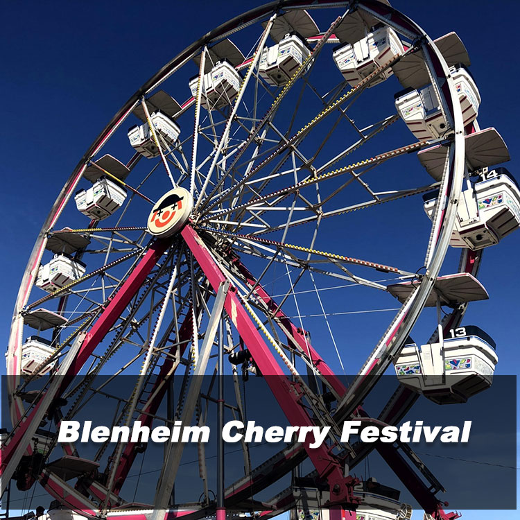 Blenheim Cherry Festival