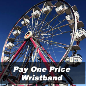 Pay One Price Wristband